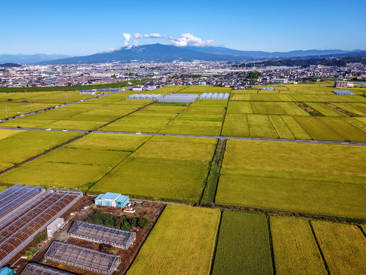 f:id:qshiro:20200928112028j:plain