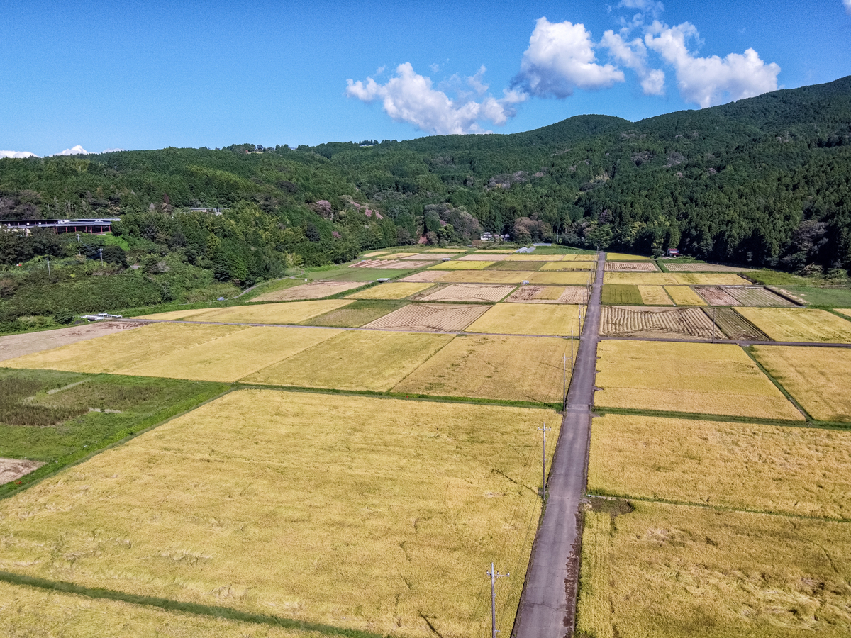 f:id:qshiro:20200928112036j:plain