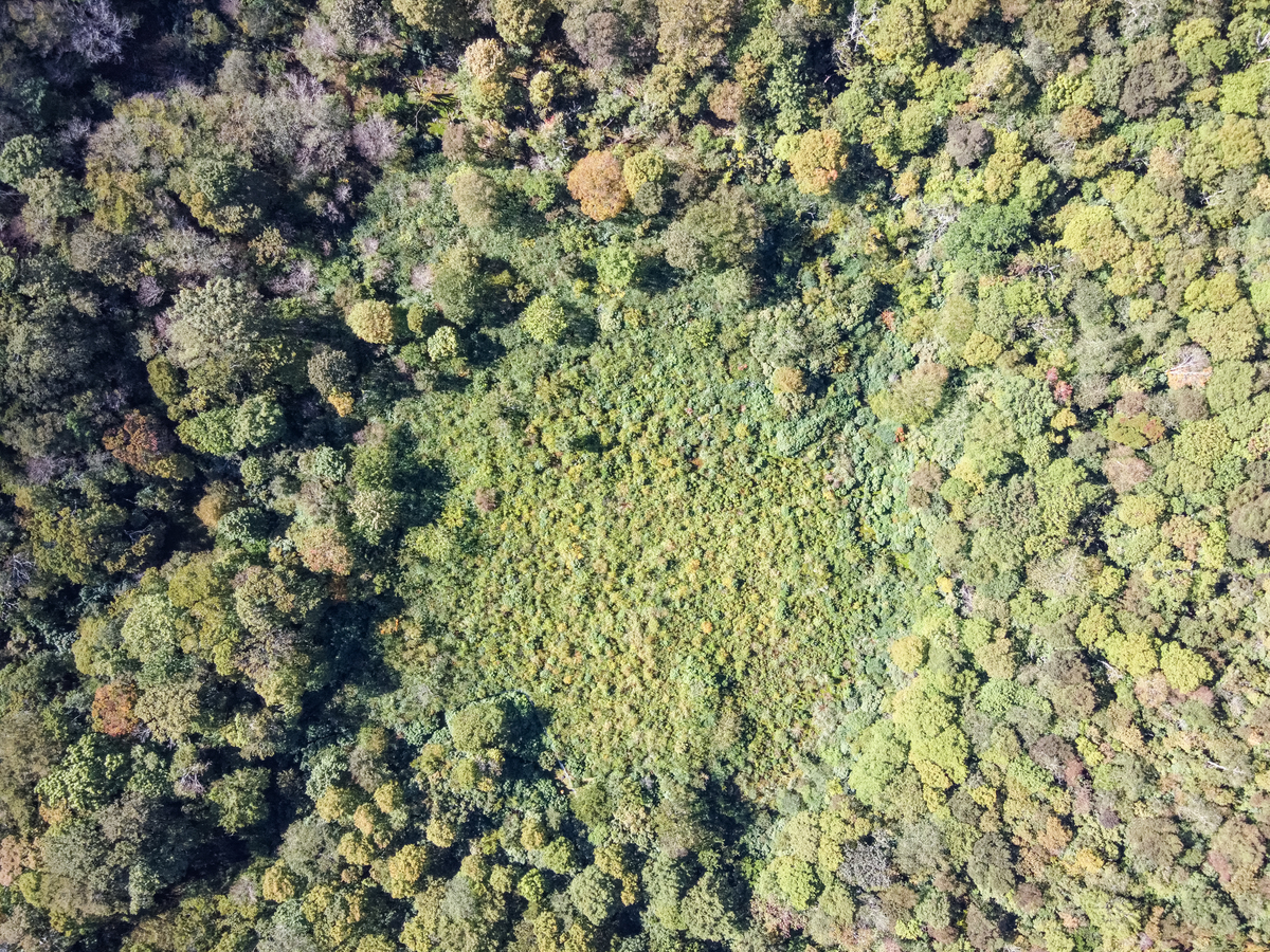 f:id:qshiro:20201012180916j:plain