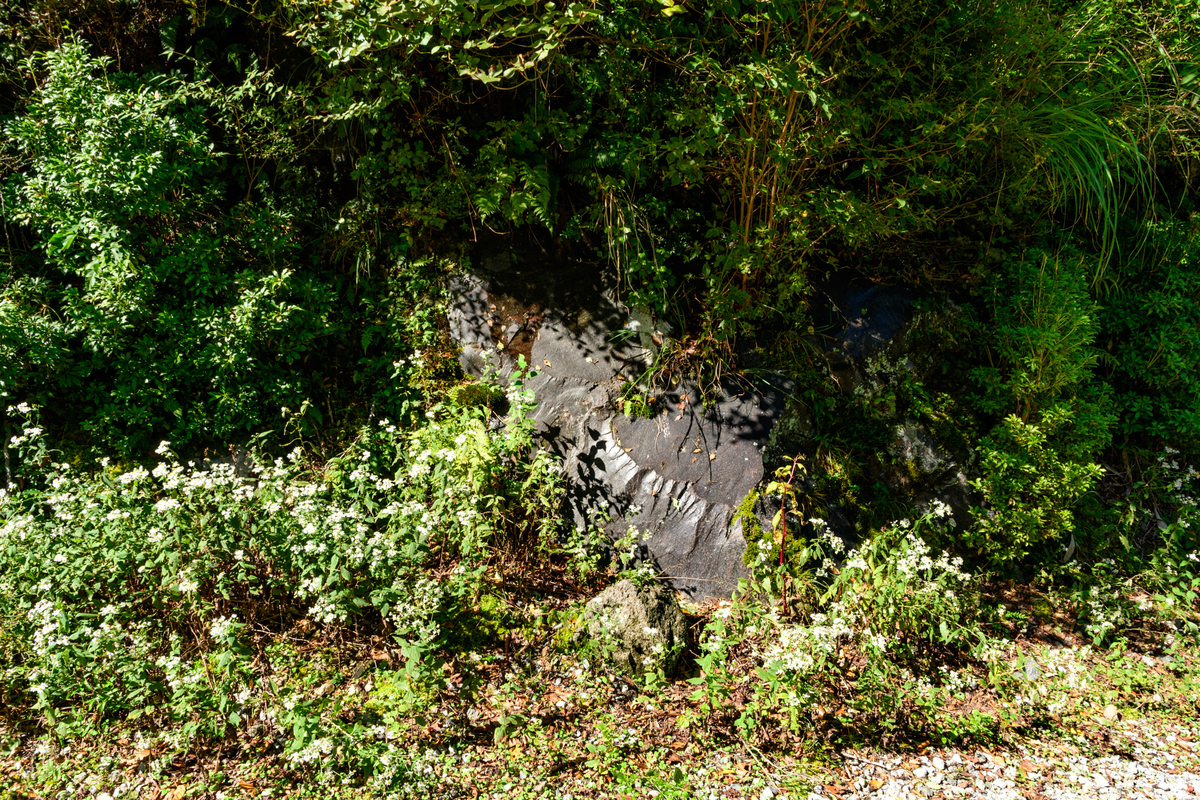 f:id:qshiro:20201012181120j:plain