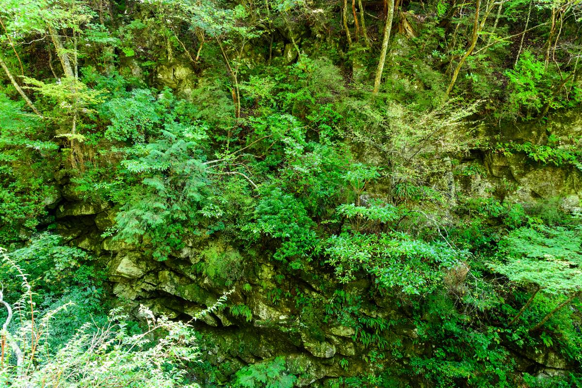 f:id:qshiro:20201012181128j:plain