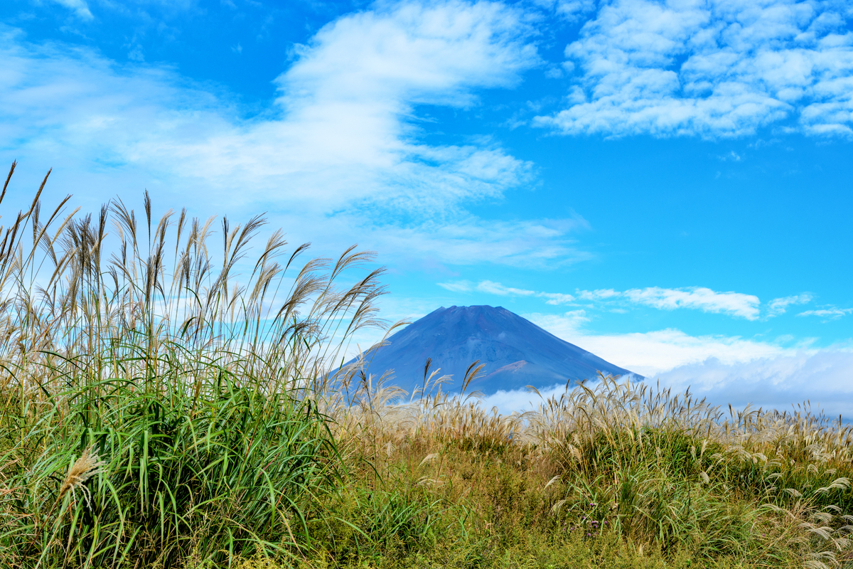 f:id:qshiro:20201016120304j:plain