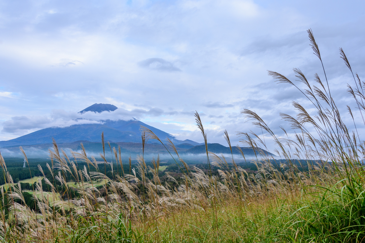 f:id:qshiro:20201016120328j:plain