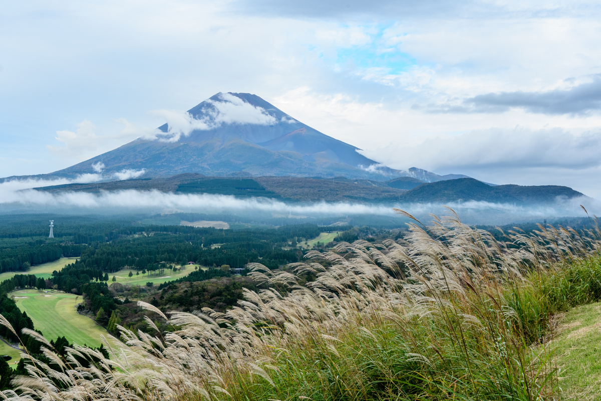 f:id:qshiro:20201016120334j:plain