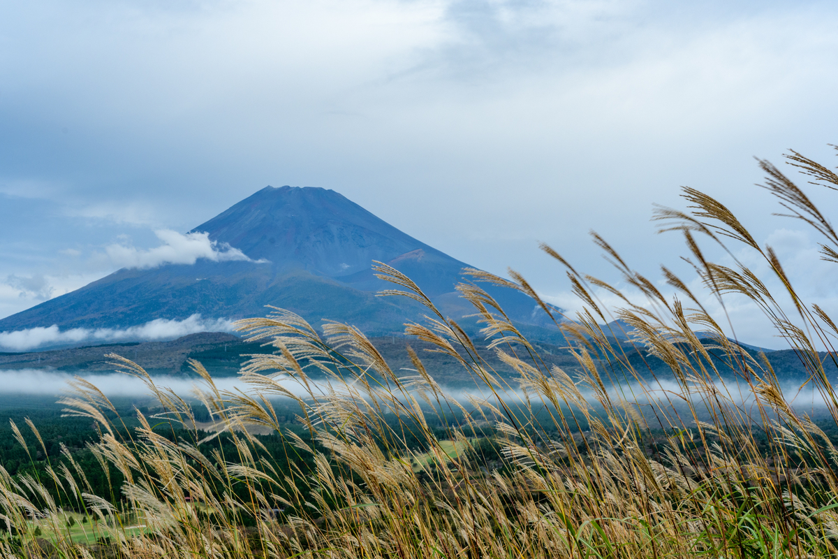 f:id:qshiro:20201016120340j:plain