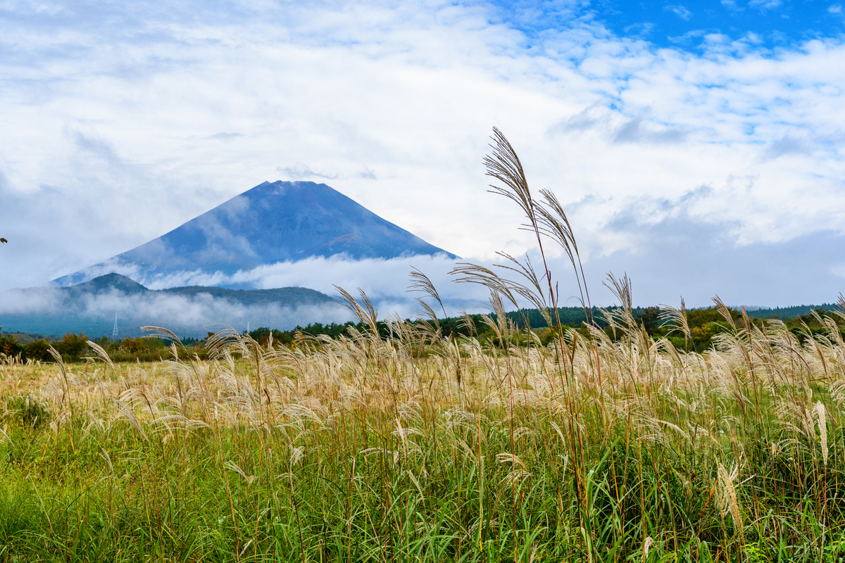 f:id:qshiro:20201016120352j:plain