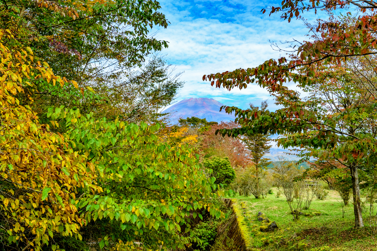 f:id:qshiro:20201016120403j:plain