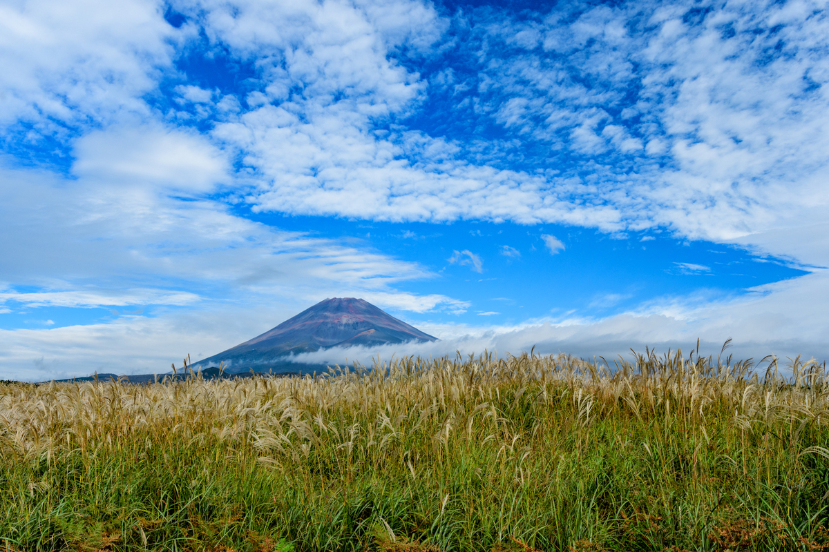 f:id:qshiro:20201016120410j:plain