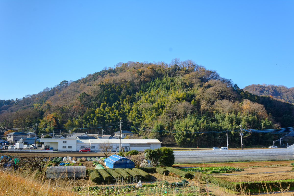 f:id:qshiro:20201223052559j:plain