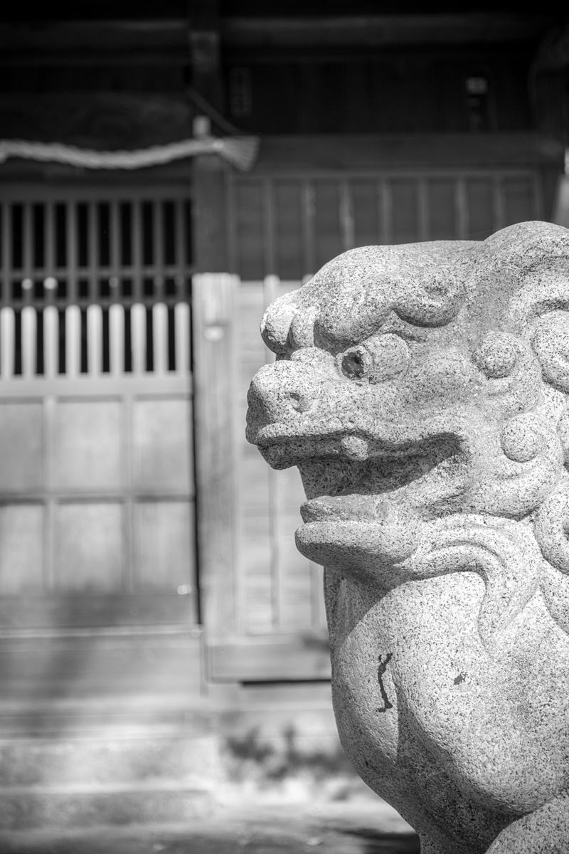 f:id:qshiro:20201223052641j:plain:w260