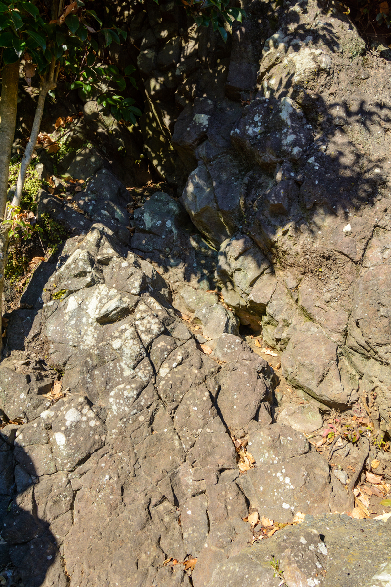 f:id:qshiro:20201223052702j:plain:w260