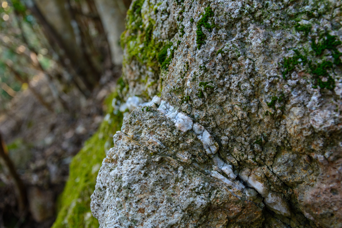 f:id:qshiro:20210310110109j:plain