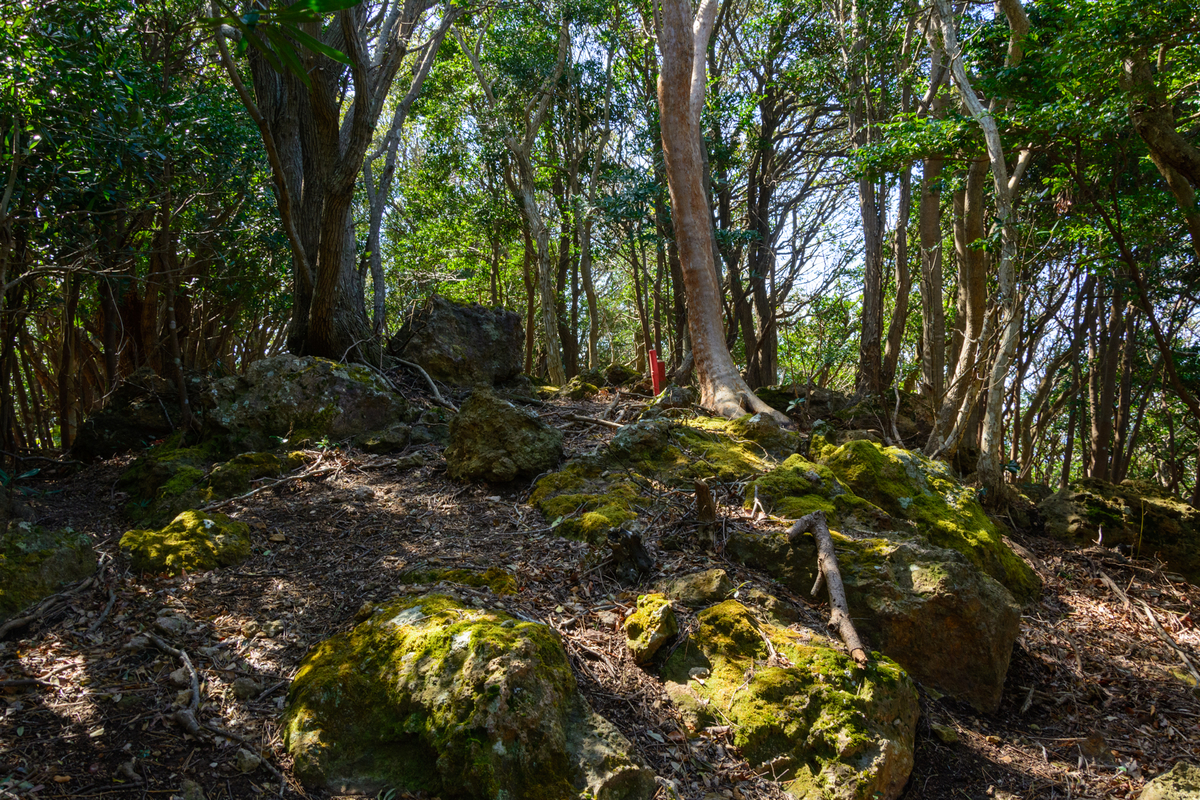 f:id:qshiro:20210310113116j:plain