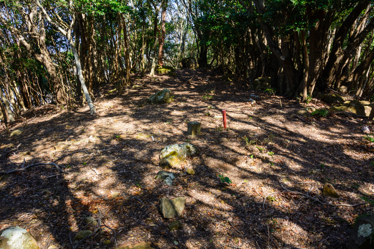 f:id:qshiro:20210310113244j:plain