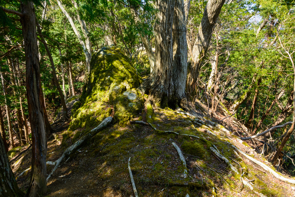 f:id:qshiro:20210310121118j:plain