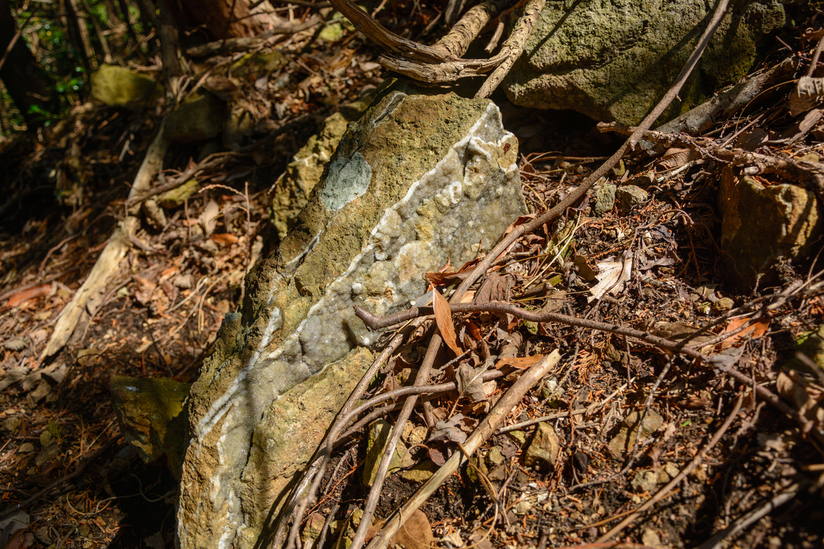 f:id:qshiro:20210310122757j:plain