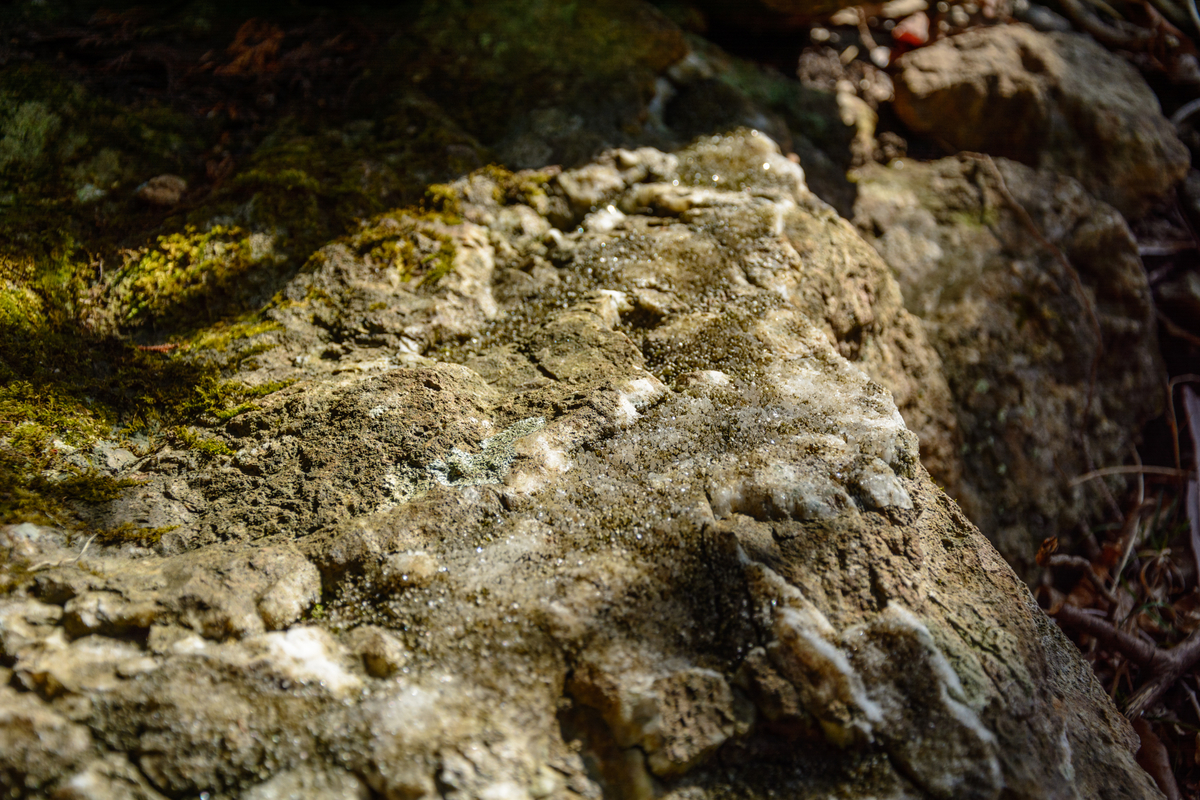 f:id:qshiro:20210310122944j:plain