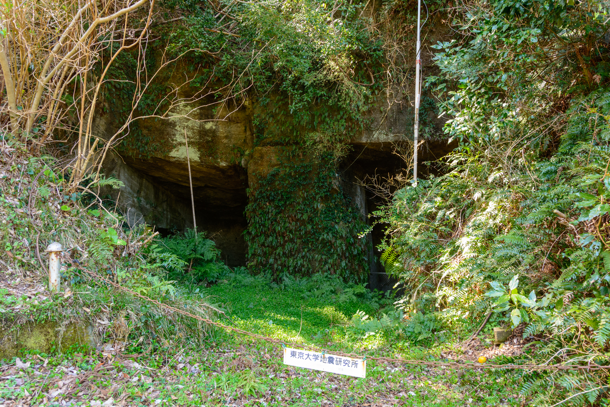 f:id:qshiro:20210310125210j:plain