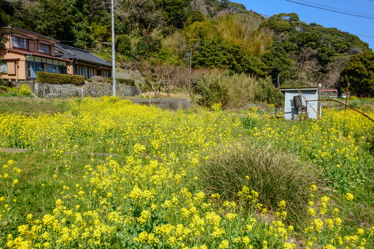 f:id:qshiro:20210310131119j:plain