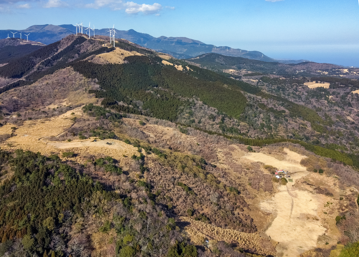 f:id:qshiro:20210310145333j:plain