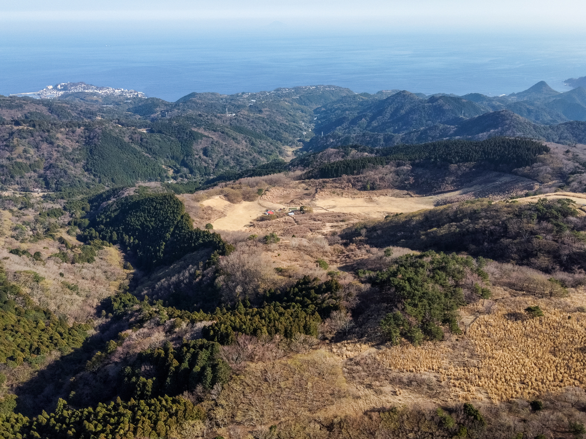 f:id:qshiro:20210310151647j:plain