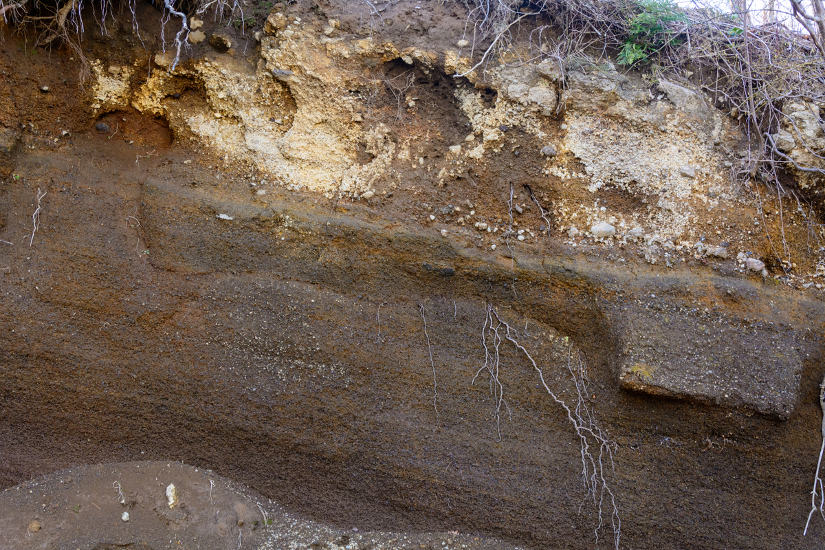 f:id:qshiro:20210310152530j:plain