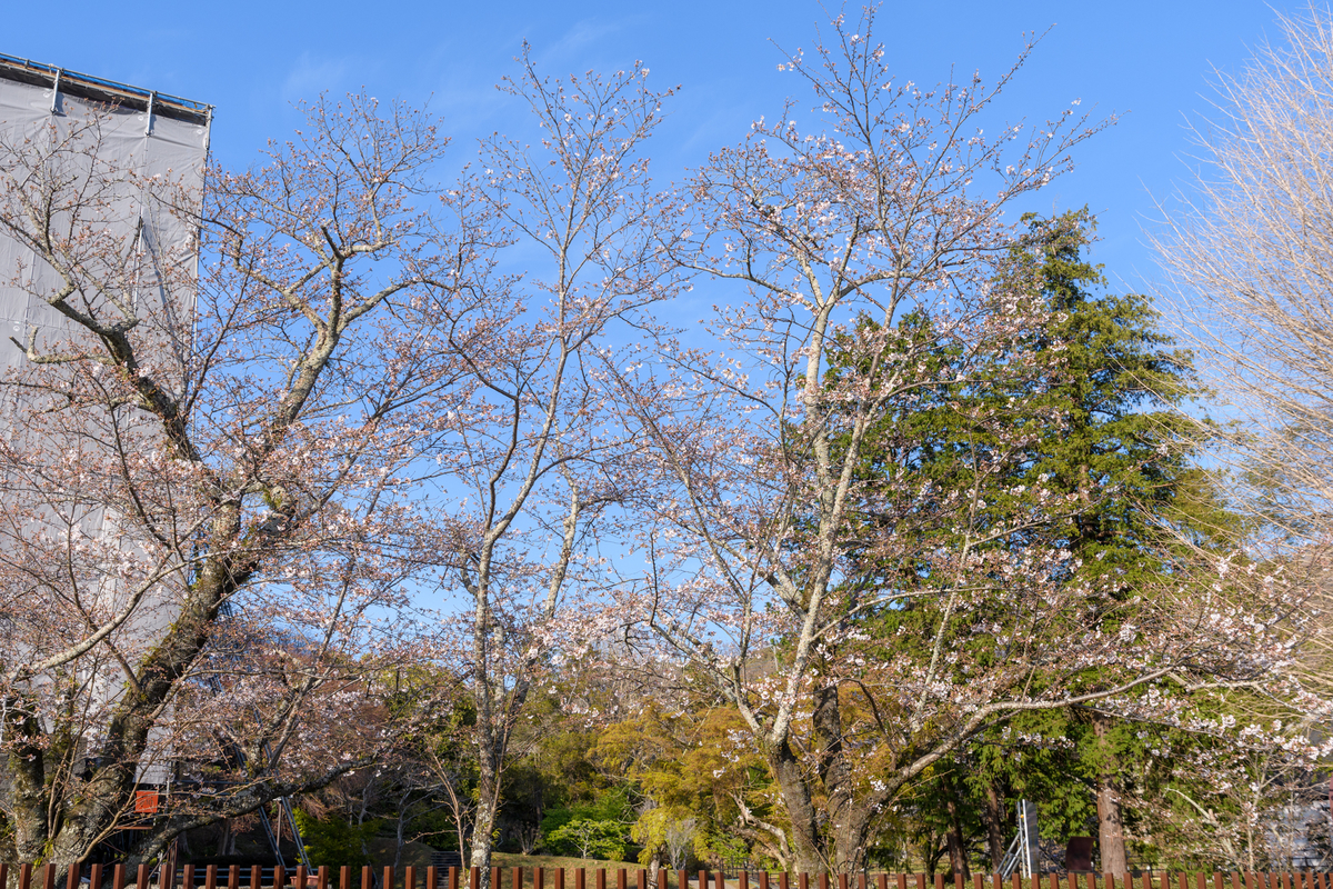 f:id:qshiro:20210324161628j:plain