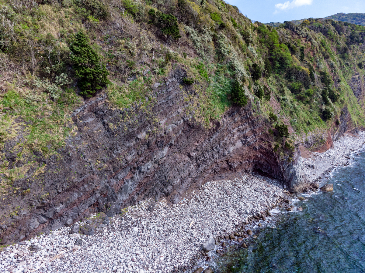 f:id:qshiro:20210409143818j:plain