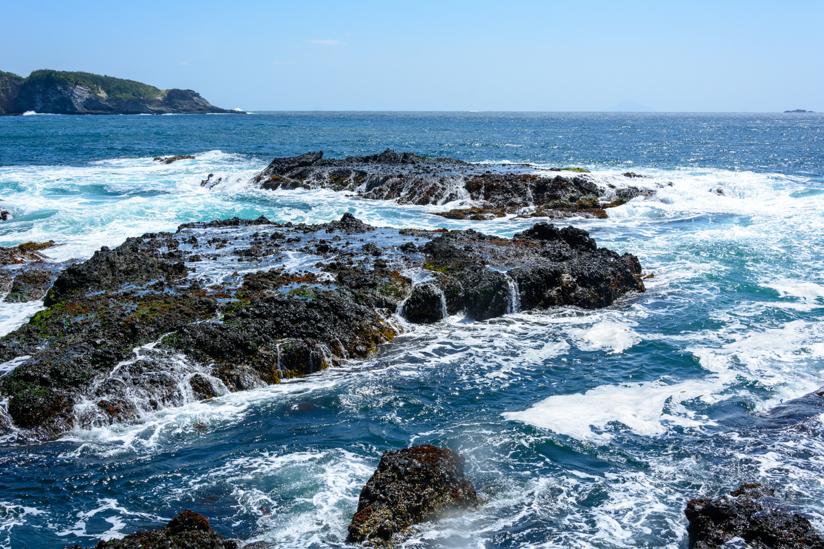 磯型　鮫川天然石 波の華　石のみ 手石・小稲の磯場 - 牛歩的写真中心網録”