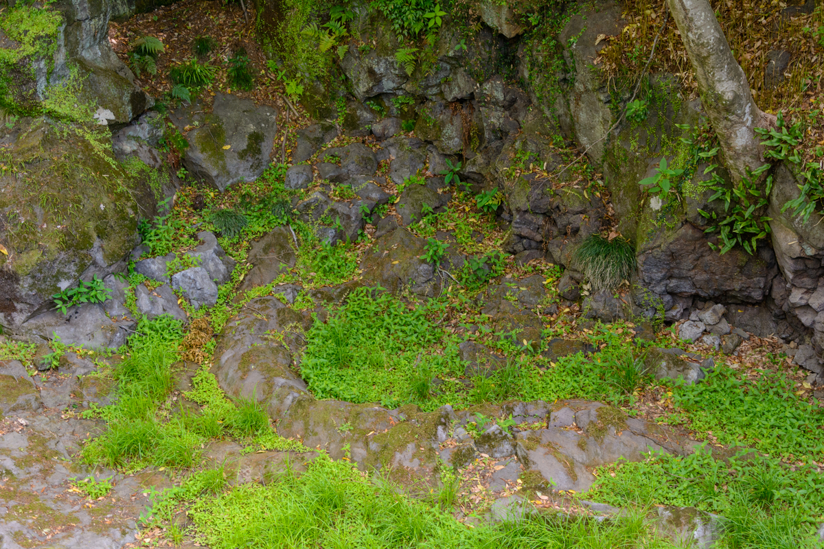 f:id:qshiro:20210511092255j:plain