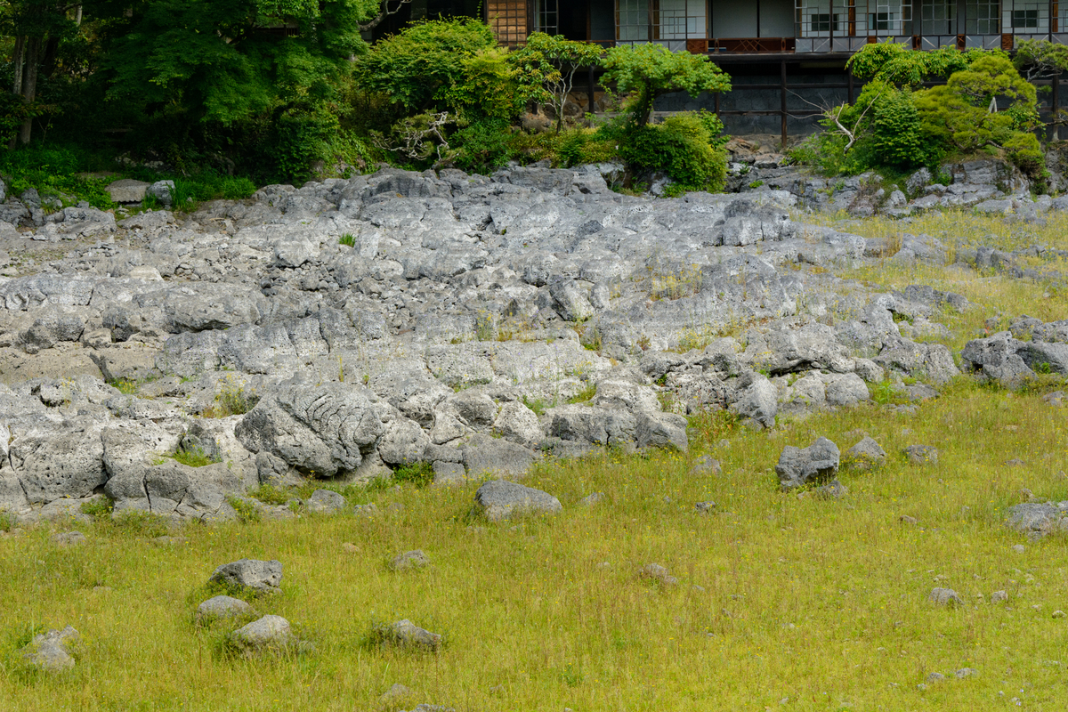 f:id:qshiro:20210511092731j:plain