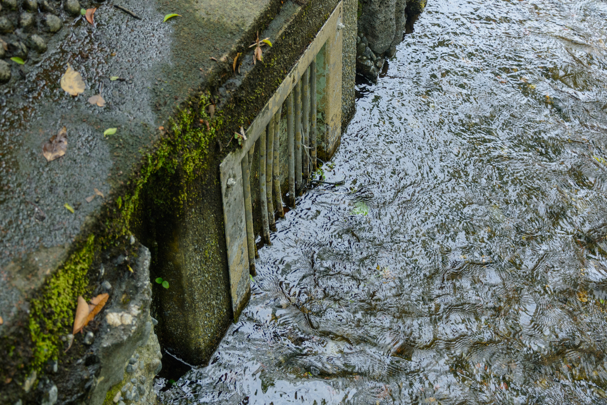 f:id:qshiro:20210511094452j:plain