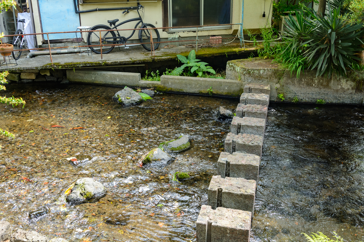 f:id:qshiro:20210511100740j:plain