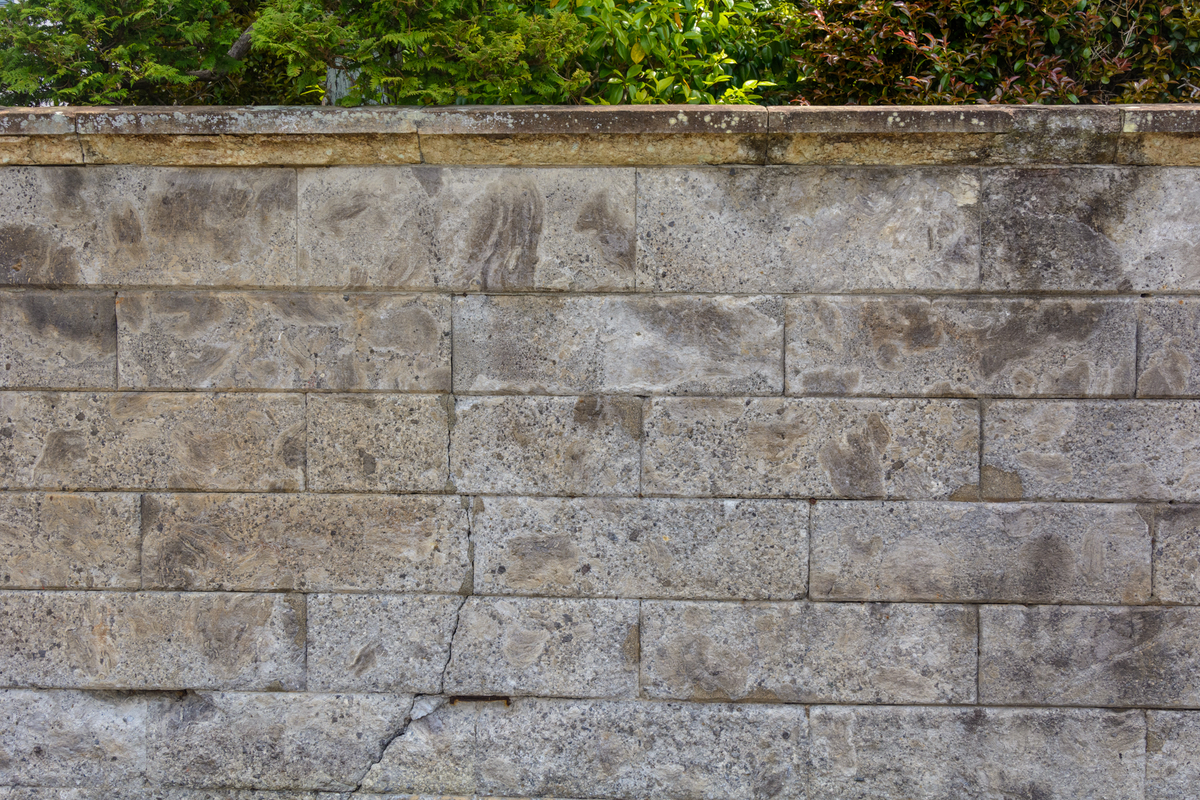 f:id:qshiro:20210511110148j:plain