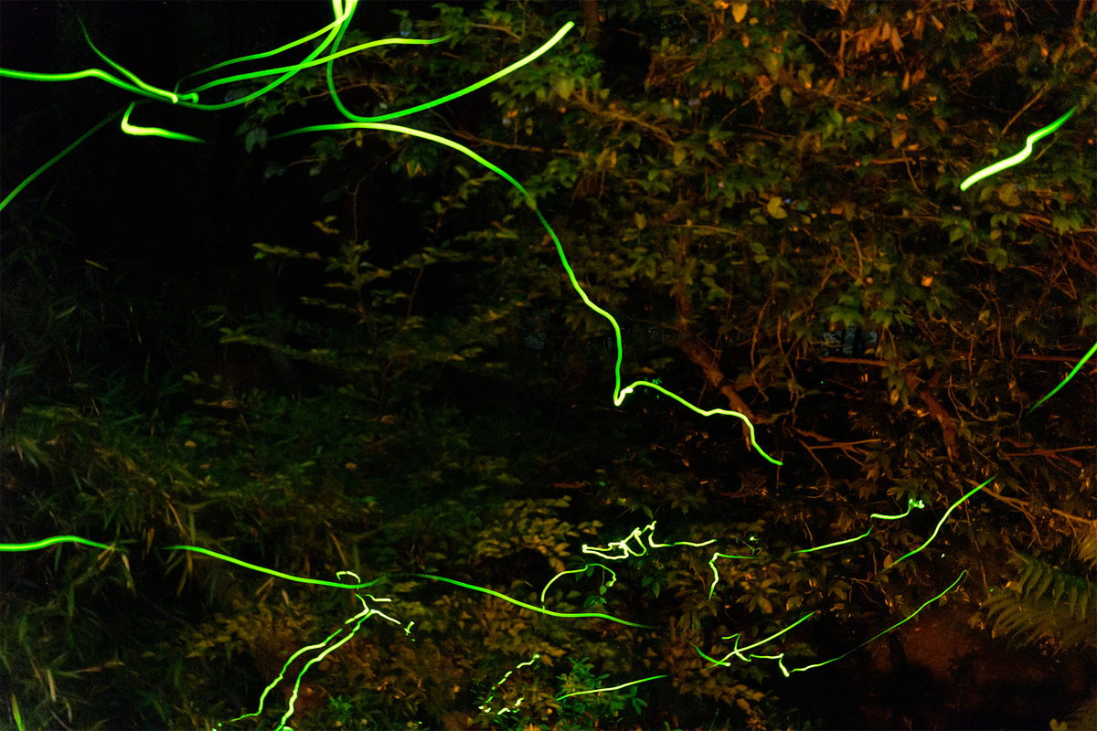 f:id:qshiro:20210603134904j:plain