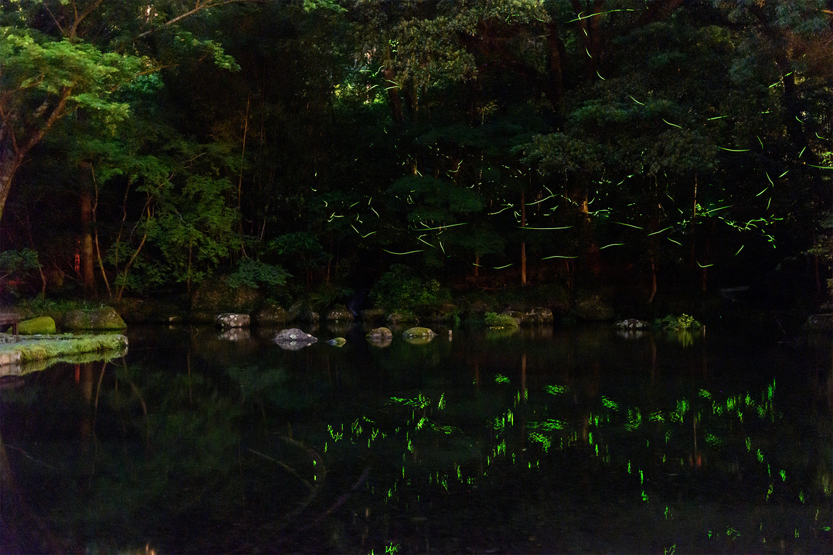 f:id:qshiro:20210603134910j:plain