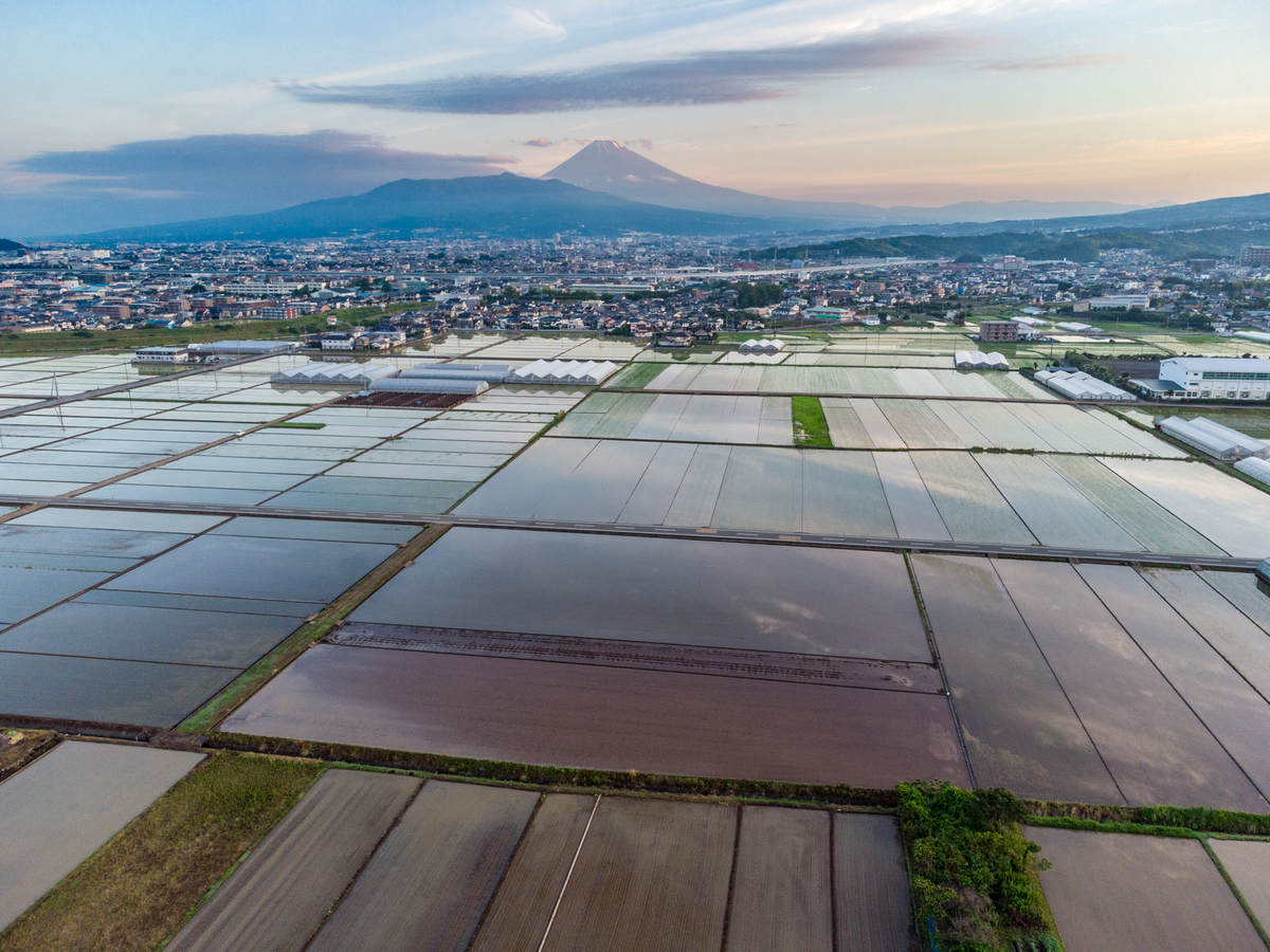 f:id:qshiro:20210618044419j:plain