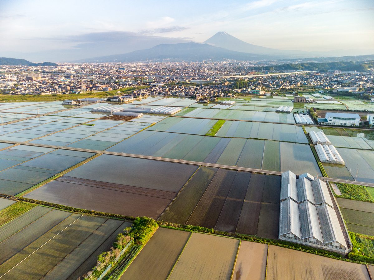 f:id:qshiro:20210618051357j:plain