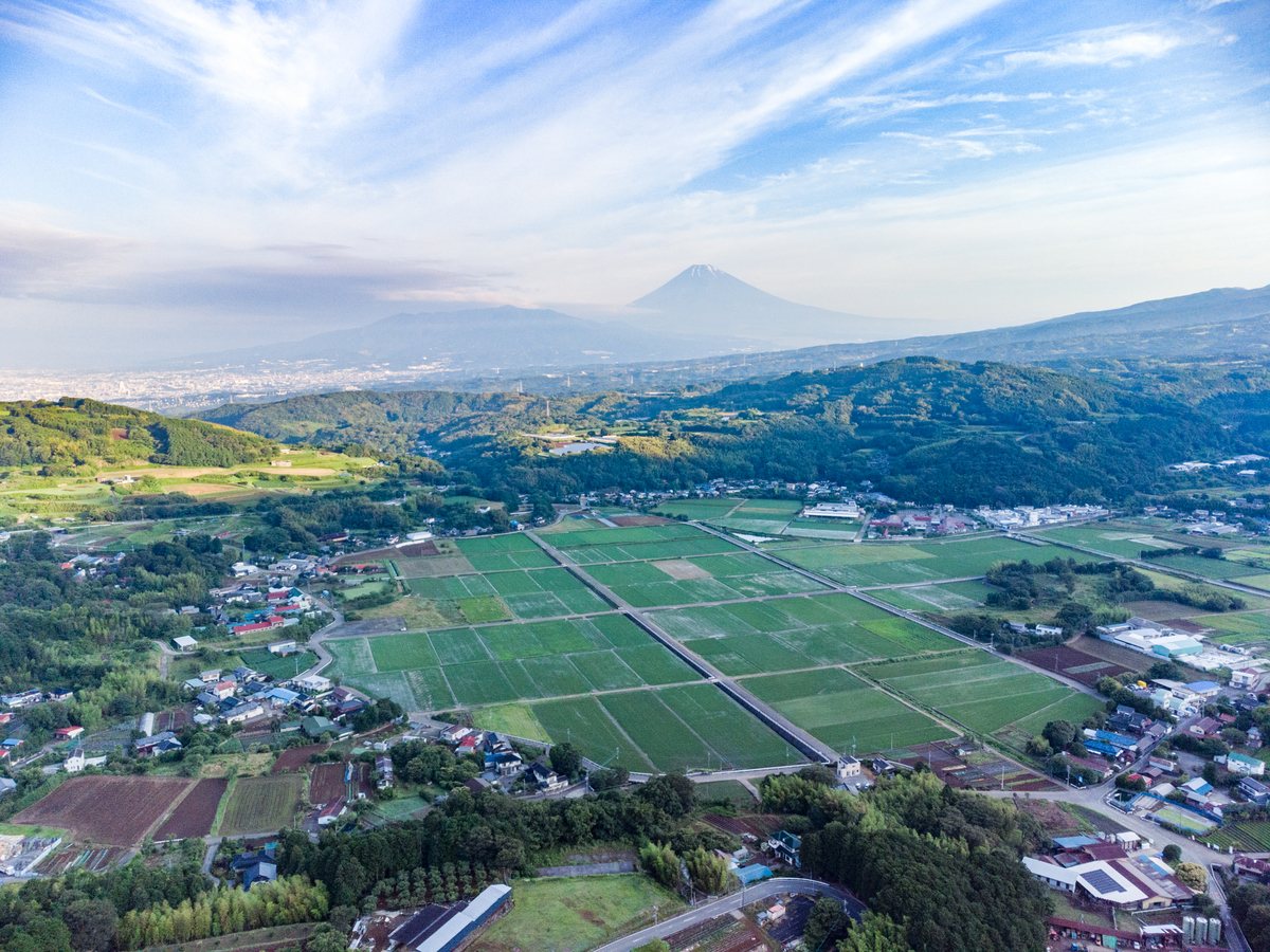 f:id:qshiro:20210618053933j:plain