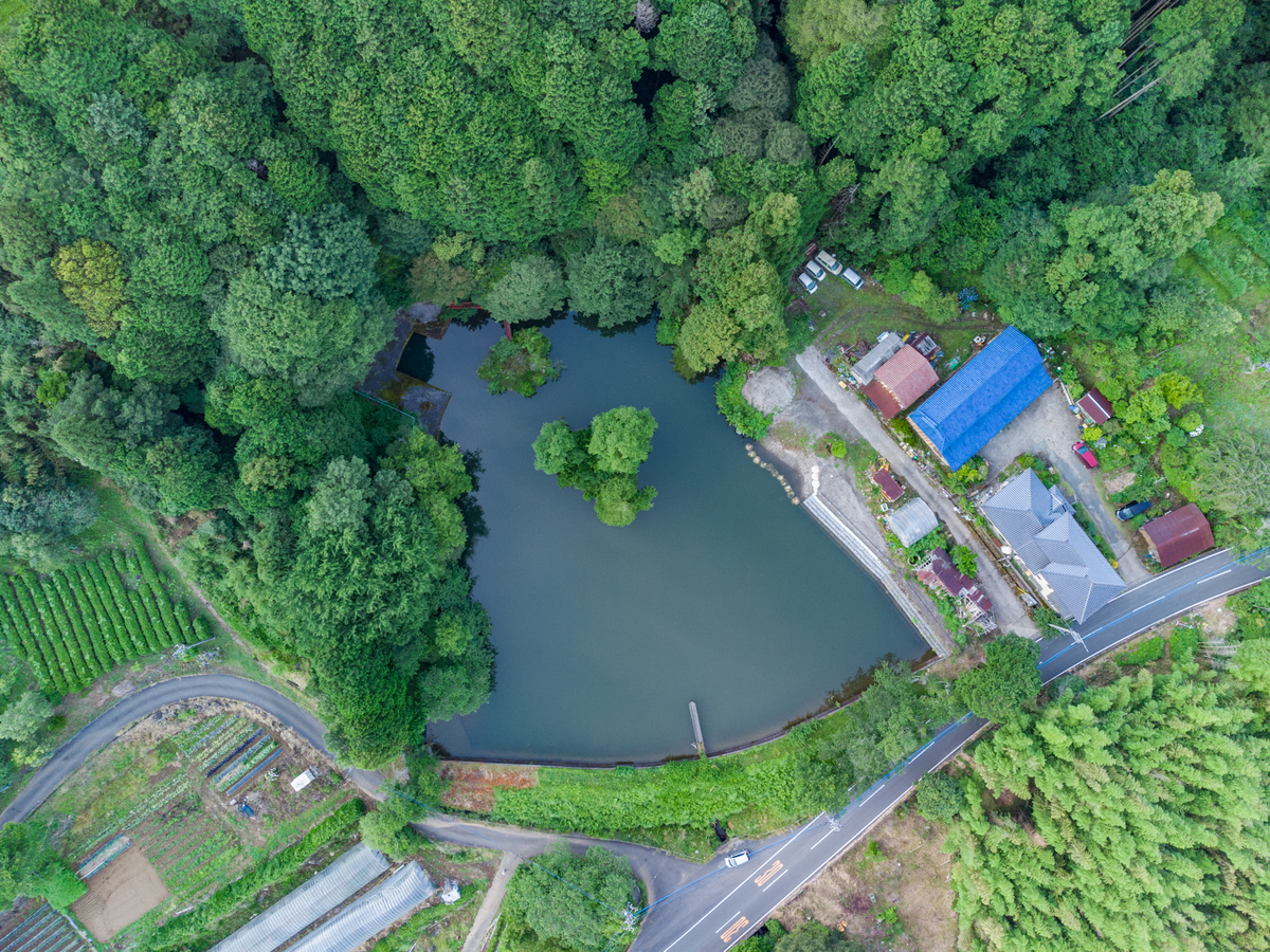 f:id:qshiro:20210618054458j:plain