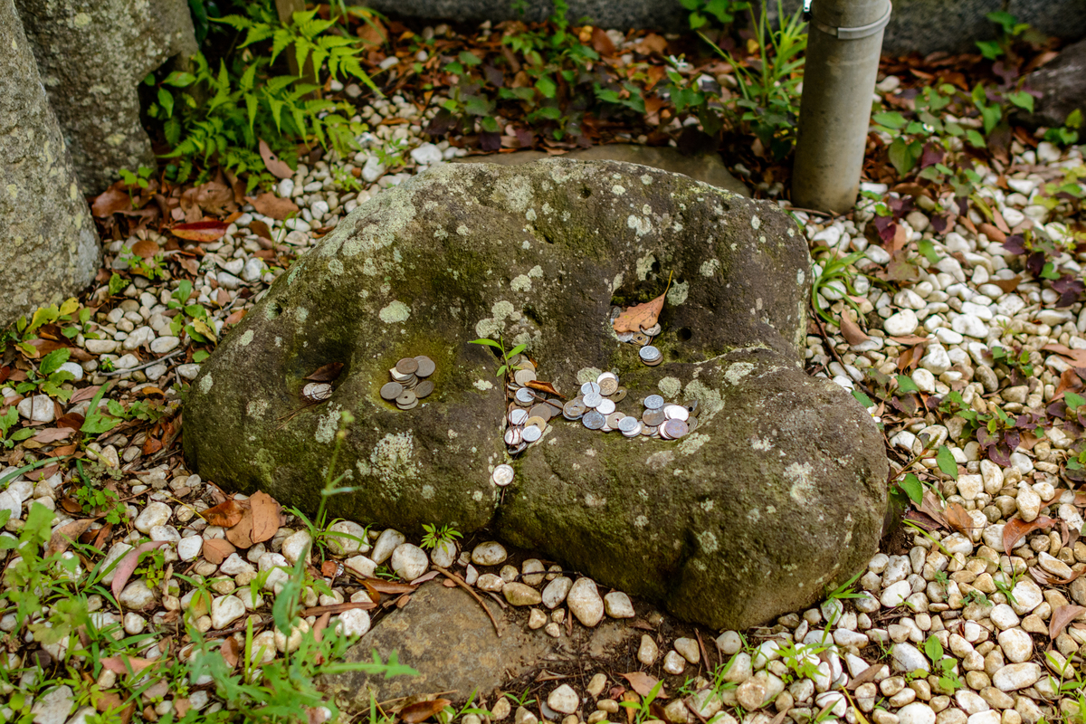 f:id:qshiro:20210628093357j:plain