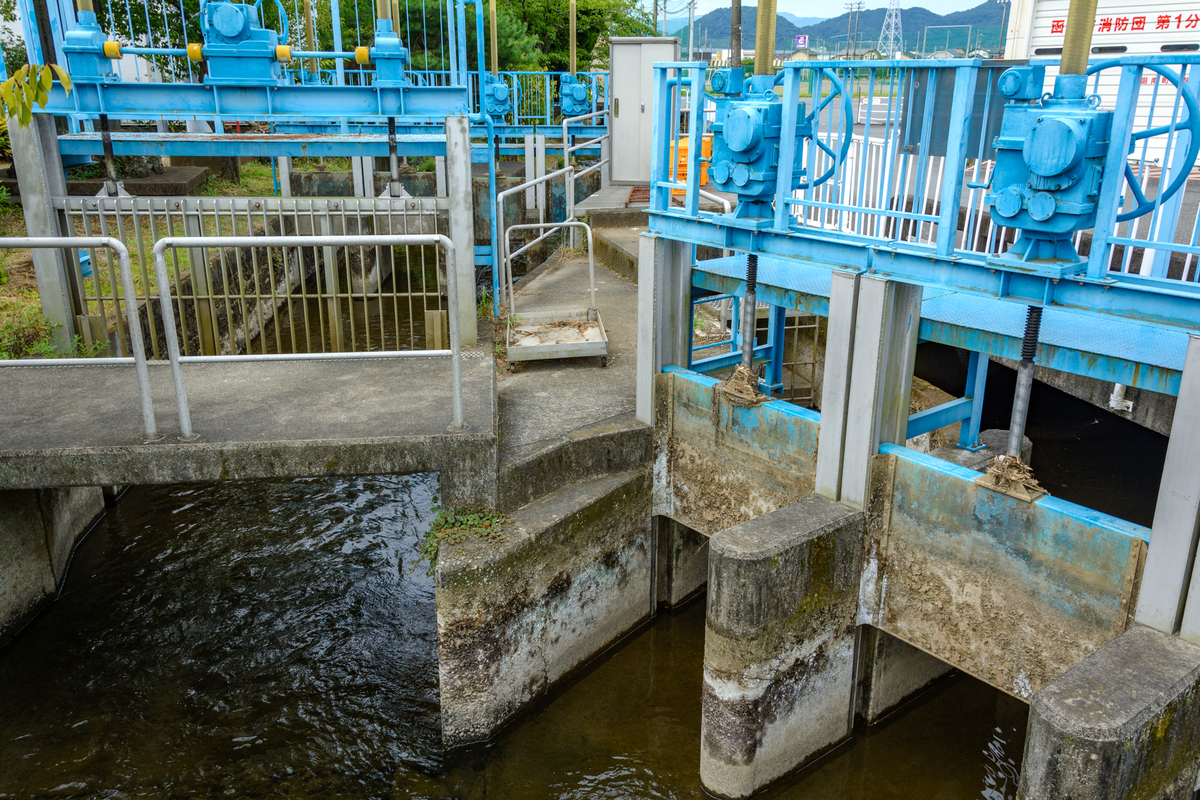 f:id:qshiro:20210730080430j:plain