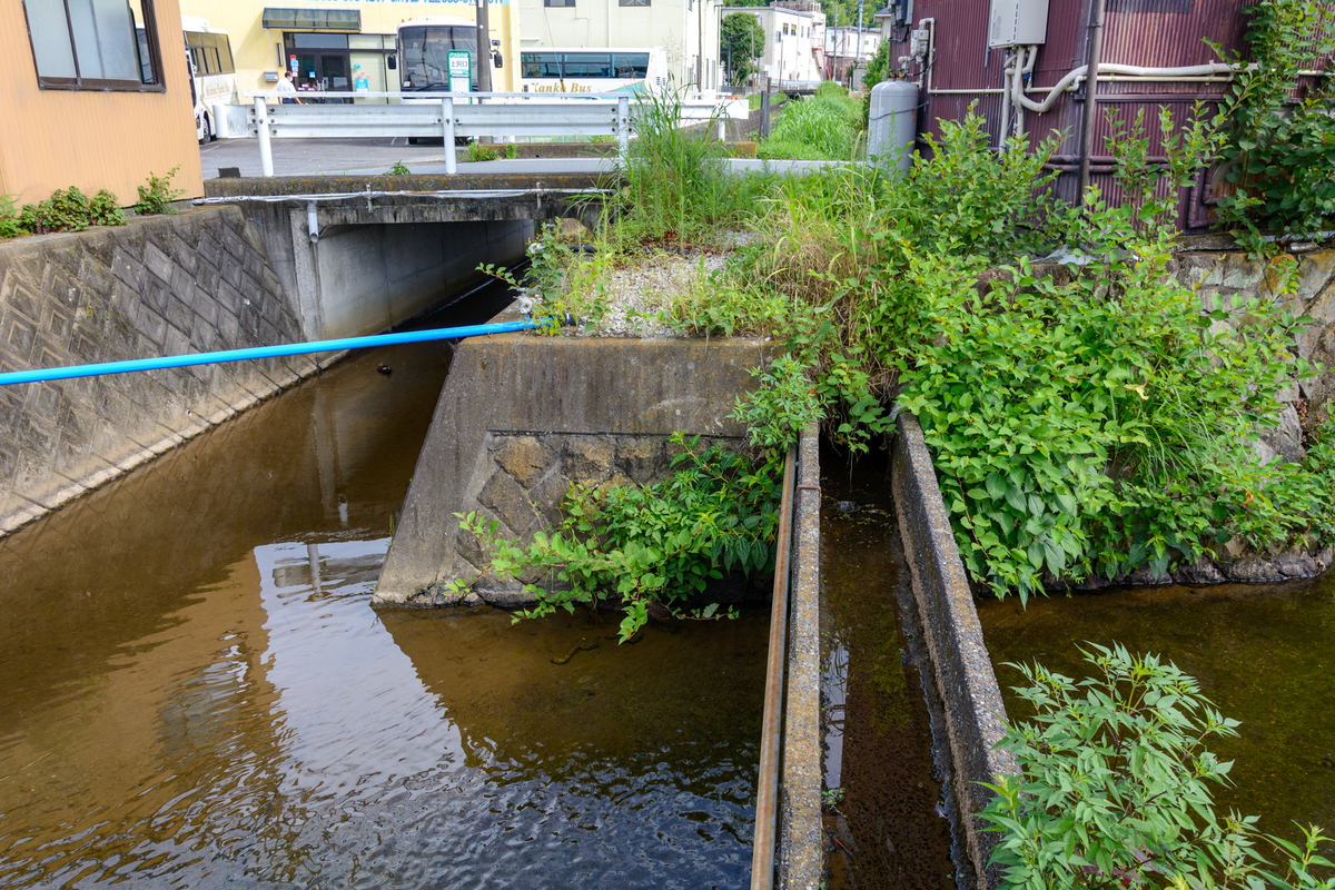 f:id:qshiro:20210730081053j:plain