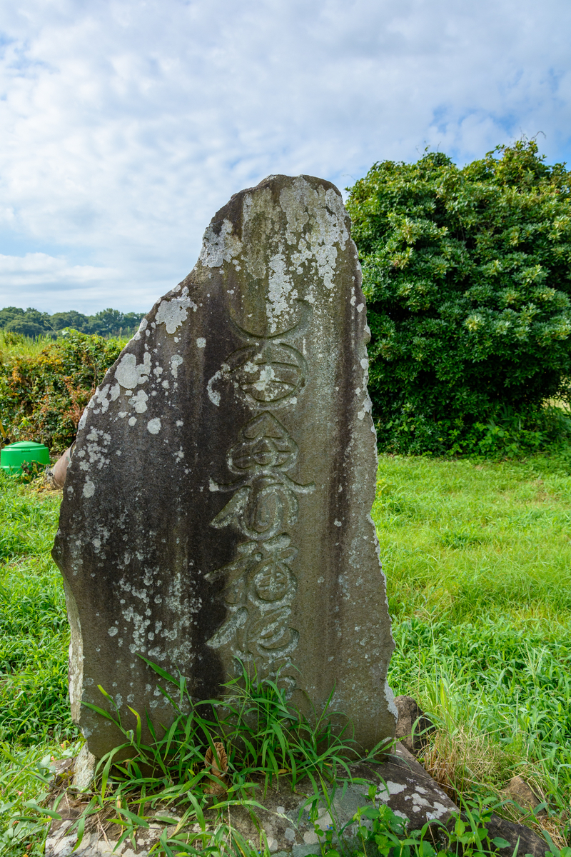 f:id:qshiro:20210730081455j:plain:w260