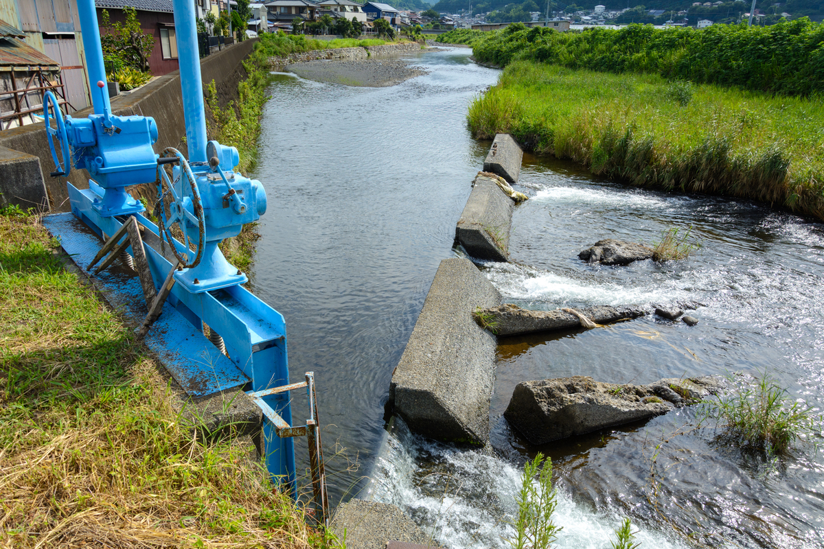 f:id:qshiro:20210730081810j:plain