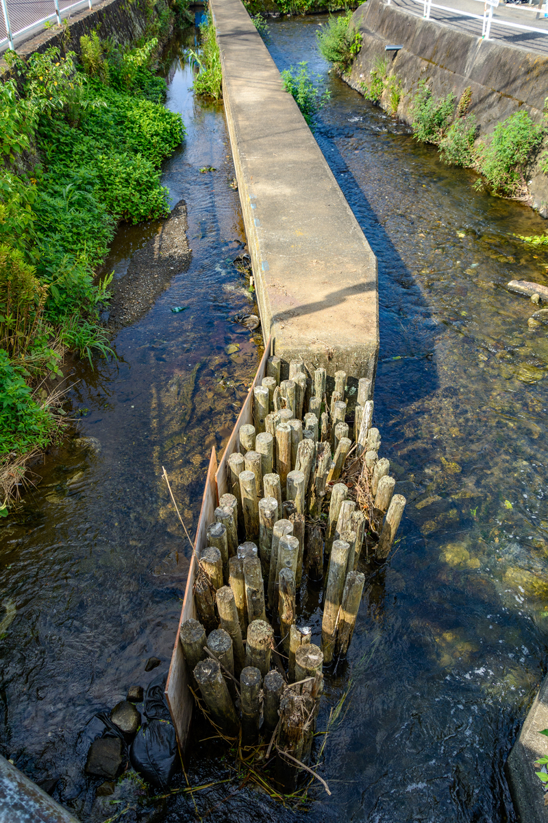 f:id:qshiro:20210730082239j:plain:w260