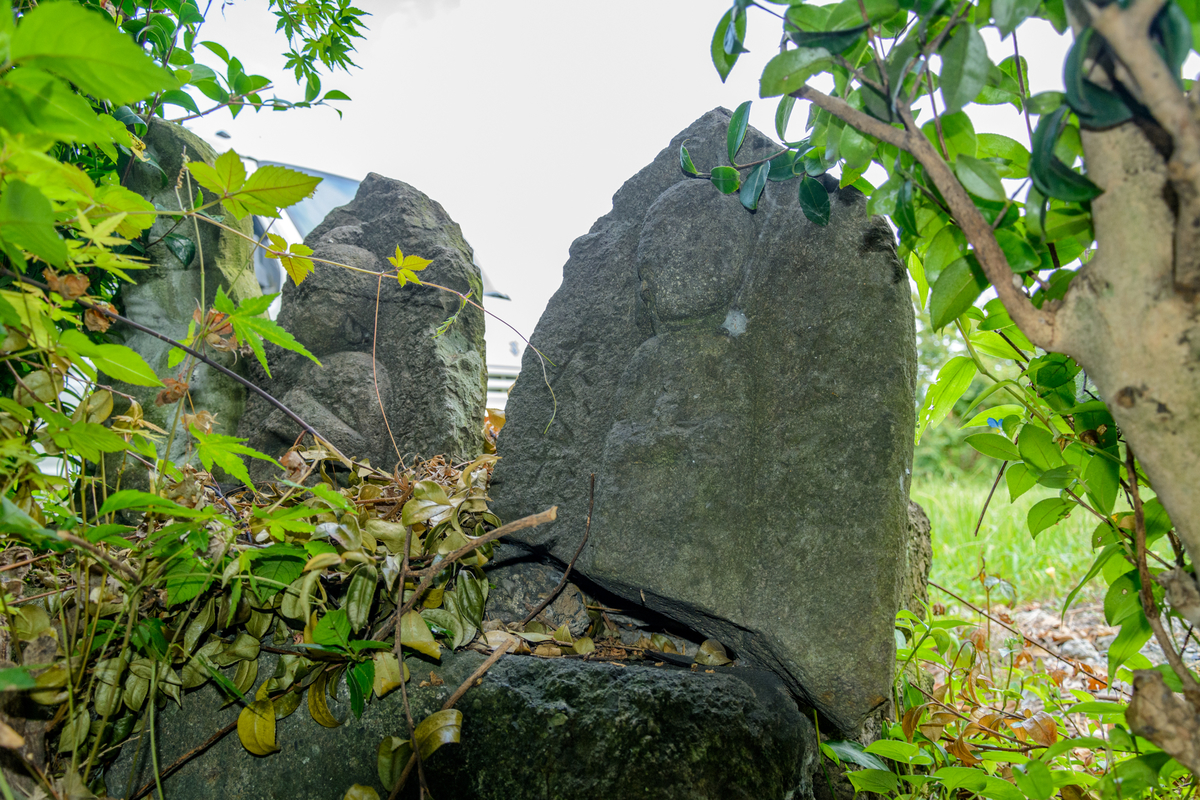 f:id:qshiro:20210730084254j:plain