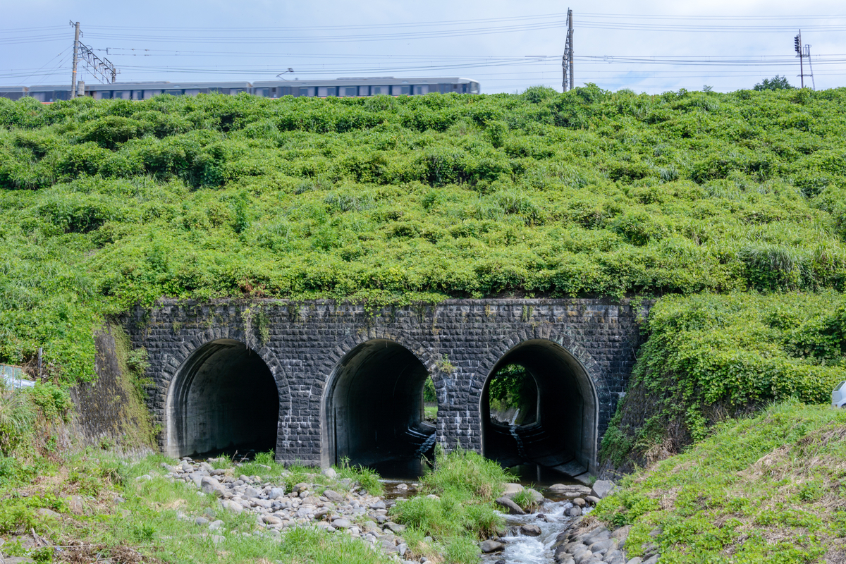 f:id:qshiro:20210730085507j:plain