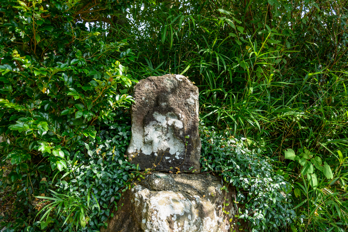 f:id:qshiro:20210730090602j:plain