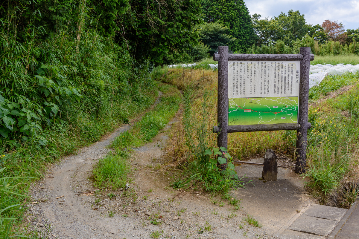 f:id:qshiro:20210730094720j:plain